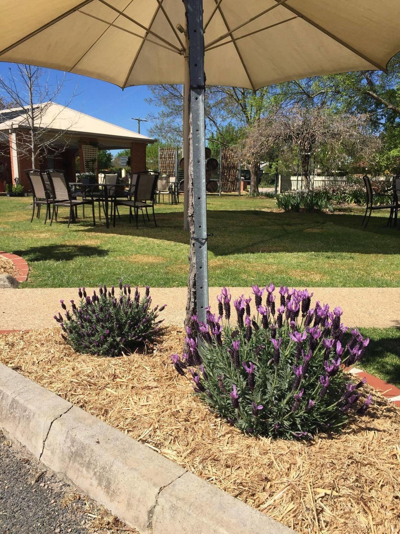Wine Village Motor Inn Rutherglen Exterior photo