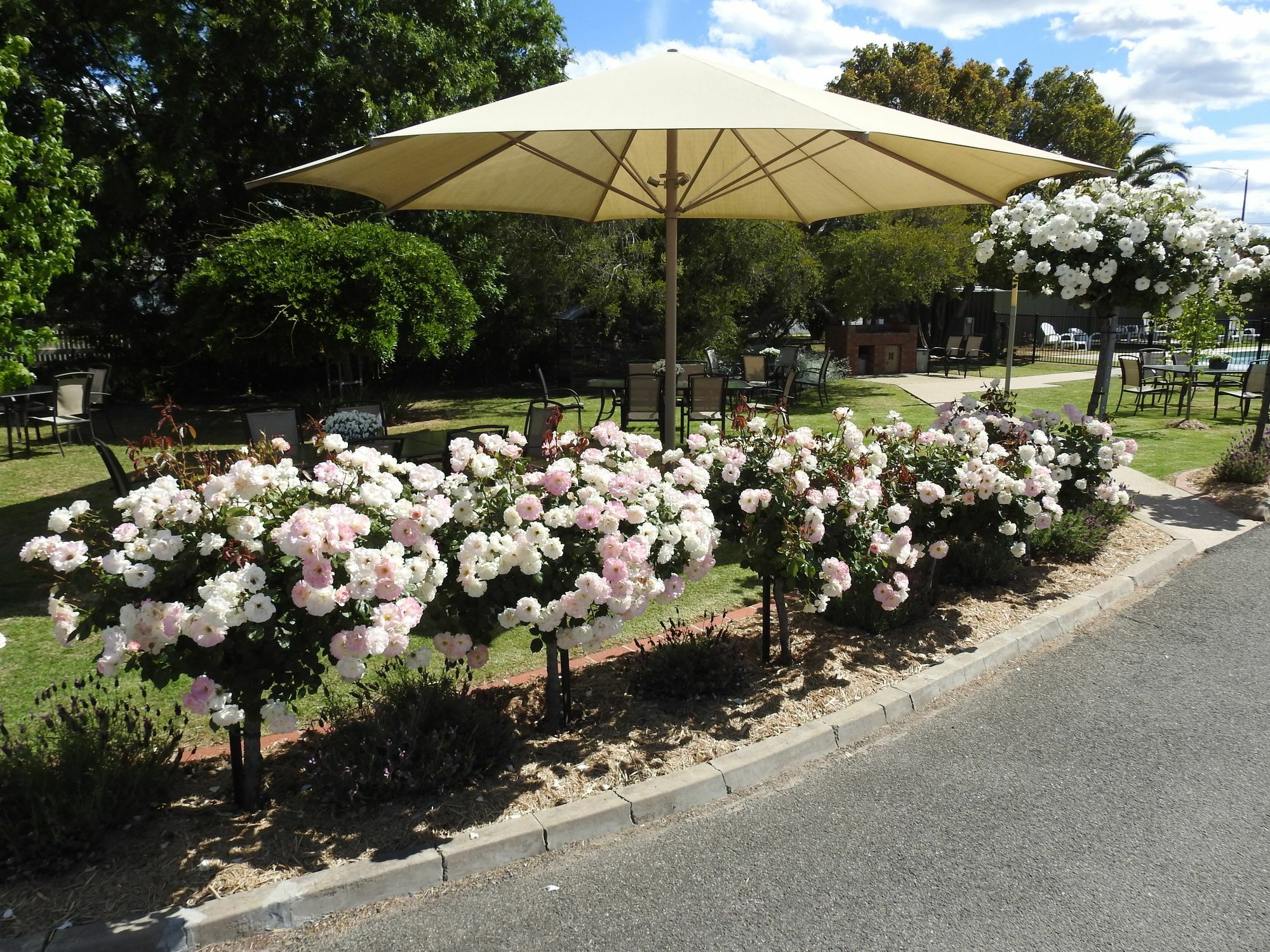 Wine Village Motor Inn Rutherglen Exterior photo